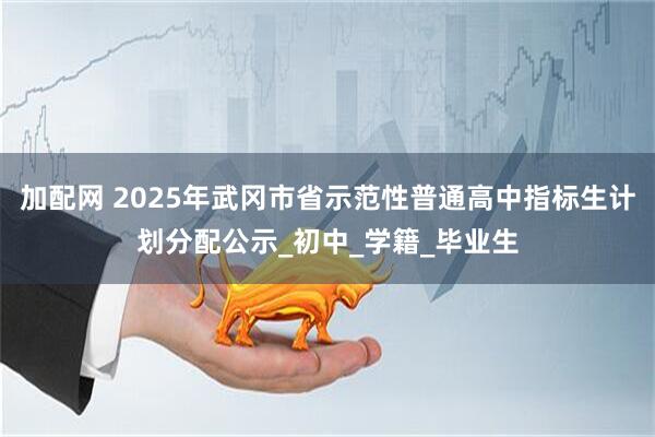加配网 2025年武冈市省示范性普通高中指标生计划分配公示_初中_学籍_毕业生