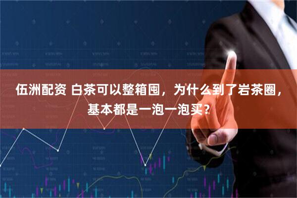 伍洲配资 白茶可以整箱囤，为什么到了岩茶圈，基本都是一泡一泡买？