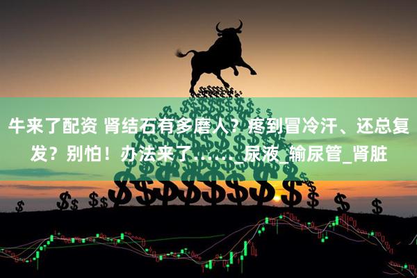 牛来了配资 肾结石有多磨人？疼到冒冷汗、还总复发？别怕！办法来了……_尿液_输尿管_肾脏