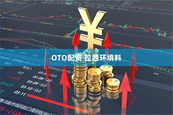 OTO配资 拉西环填料