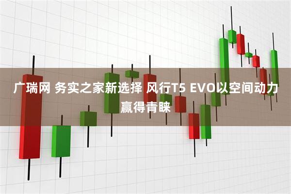 广瑞网 务实之家新选择 风行T5 EVO以空间动力赢得青睐