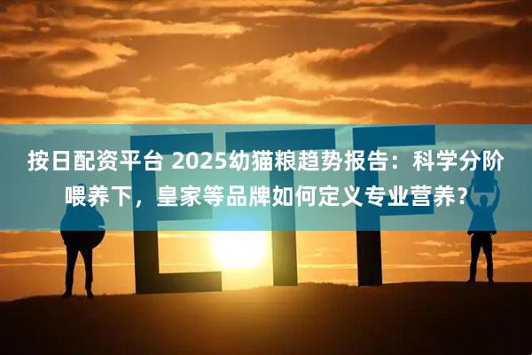 按日配资平台 2025幼猫粮趋势报告：科学分阶喂养下，皇家等品牌如何定义专业营养？