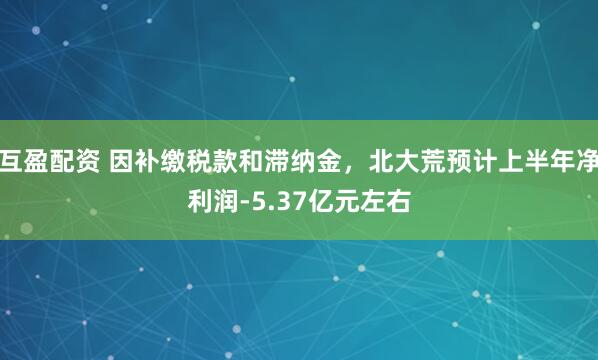 互盈配资 因补缴税款和滞纳金，北大荒预计上半年净利润-5.37亿元左右